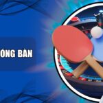 Cá cược bóng bàn