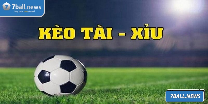 Kèo tài xỉu được rất nhiều lính mới ưa chuộng gần đây